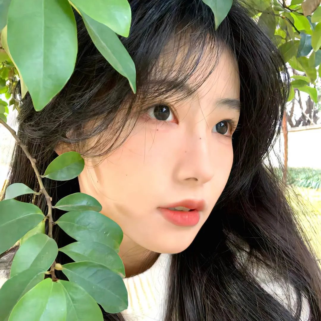 女儿们的恋爱第二季